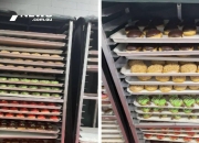澳洲:突发！澳洲警察压力山大！10000个甜甜圈遭劫，全澳盯着破案
