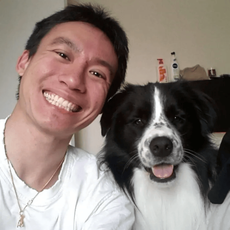 澳洲华人:炸裂！澳洲华人兽医偷尝狗狗精液澳洲华人，辩称只是 “好奇” ...